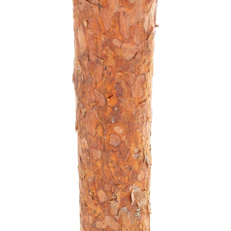 9958
