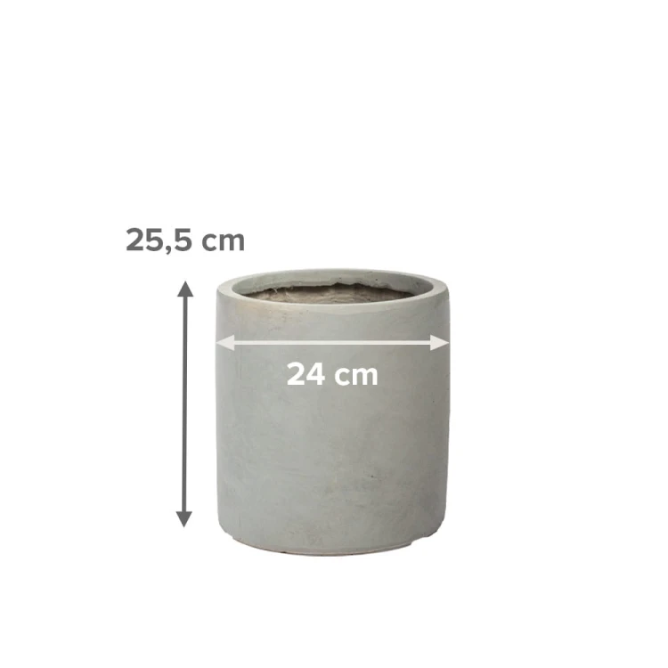 11554