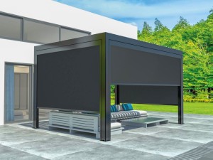 11831